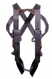 Страховочная система &amp;quot;Комби&amp;quot;, Ринг